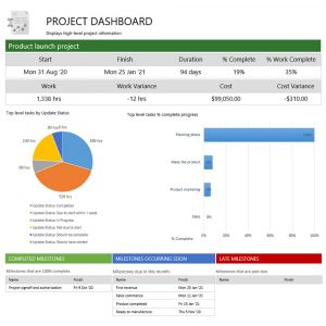 Project Intelligence Reporting Template