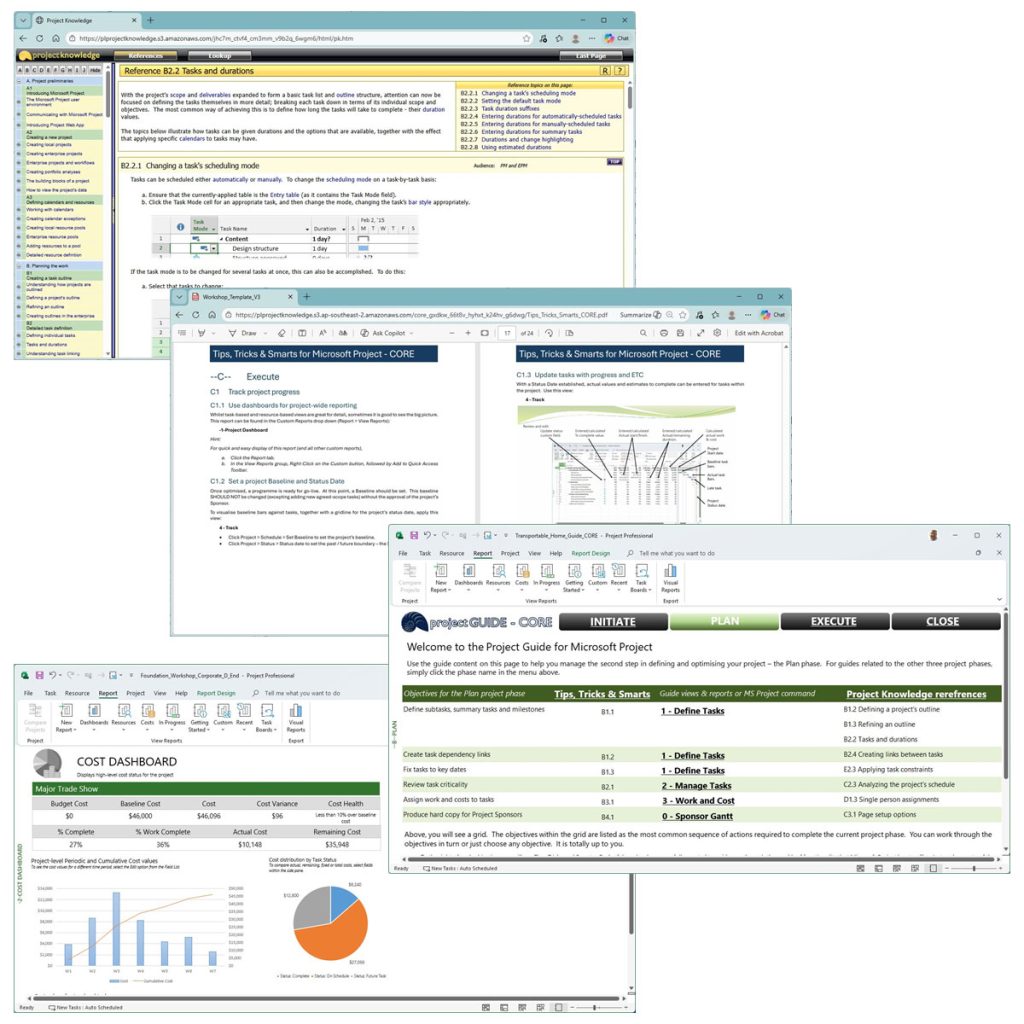 Project Guide for Microsoft Project