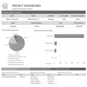 Project Intelligence Reporting Template