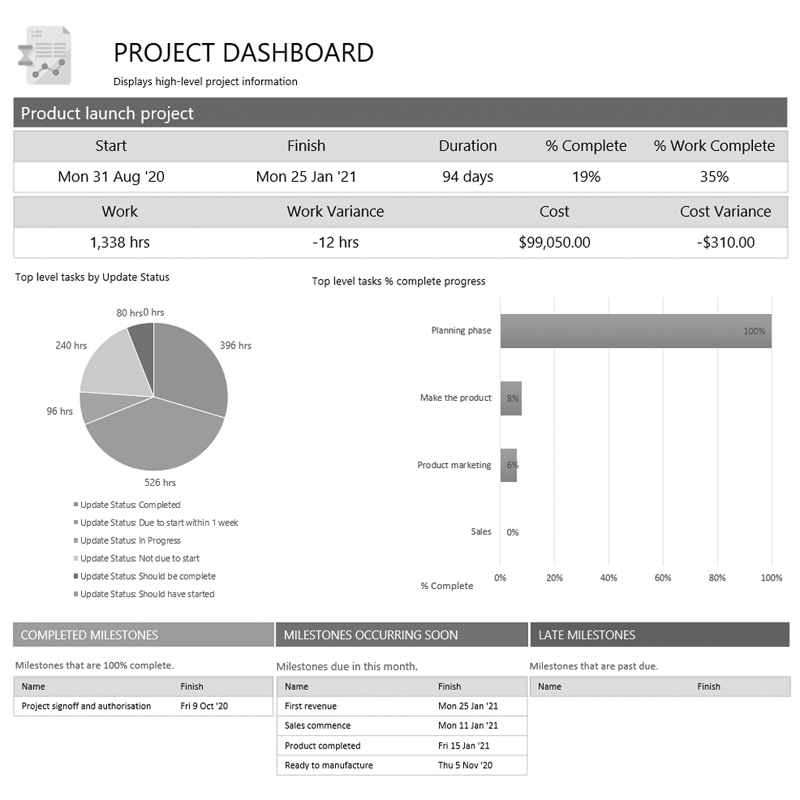 Project Intelligence Reporting Template