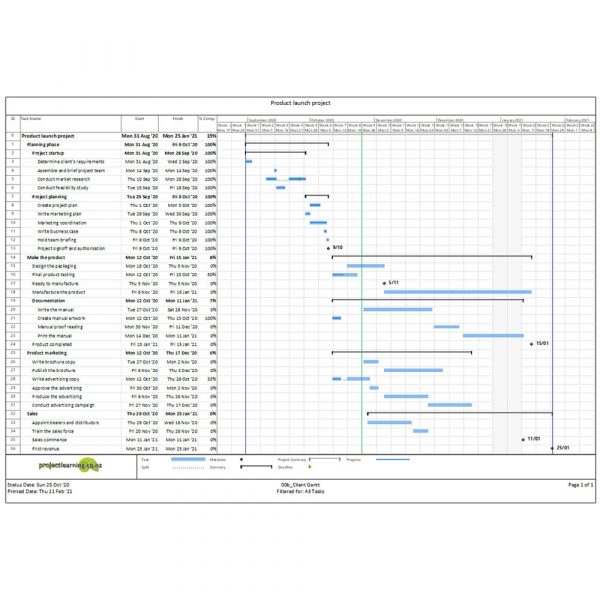 Project Intelligence Reporting Template