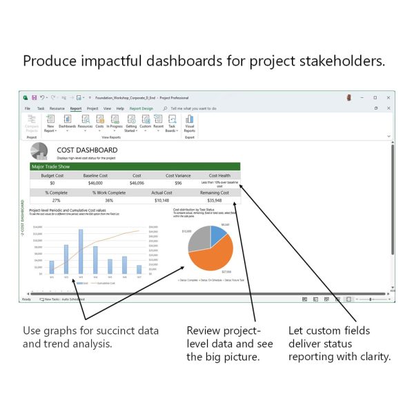 Microsoft Project Guide Pro- Project Learning